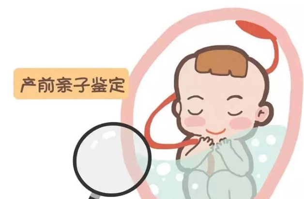 怀孕几个月如何确定孩子生父是谁[贵港],孕期亲子鉴定准确吗